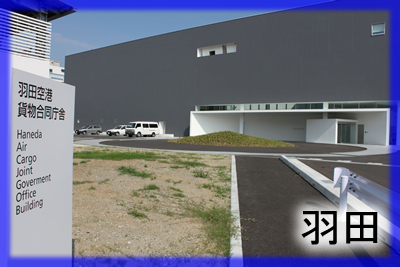 羽田